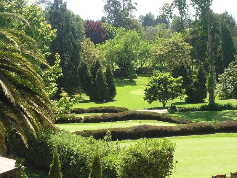 Desplazamiento FVG – Memorial Celia Barquin Femenino 2018