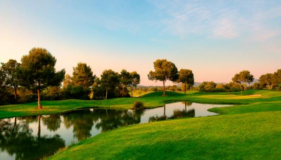 Tomas Beguiristain, Eduardo de los Rios y Mikel Emazabel presentes en una nueva edición de la Copa Baleares