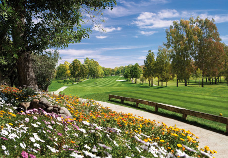 Seis jugadoras vascas presentes en una nueva edición de la Copa Andalucía Femenina