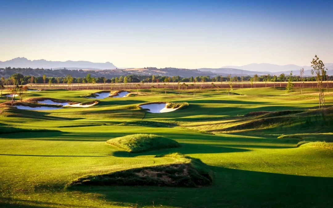 Tres jugadores vascos presentes en el Campeonato de Madrid Senior