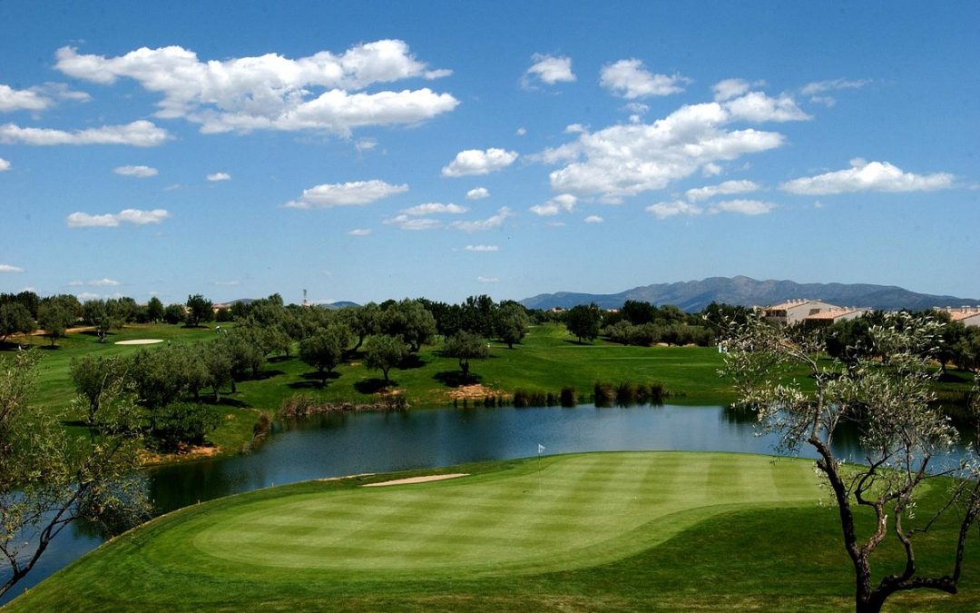 Siete jugadores vascos representarán al País Vasco en el Campeonato de España de Segunda Categoría en Panorámica Golf