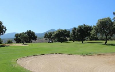 Siete clubes vascos disputarán el Campeonato de España Interclubes Infantil