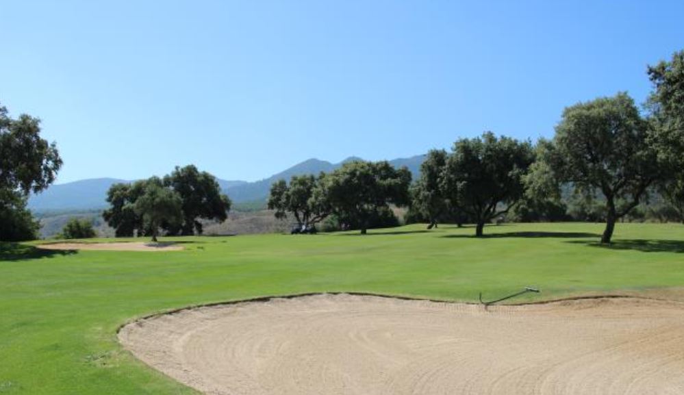 Siete clubes vascos disputarán el Campeonato de España Interclubes Infantil