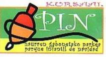 pin pin